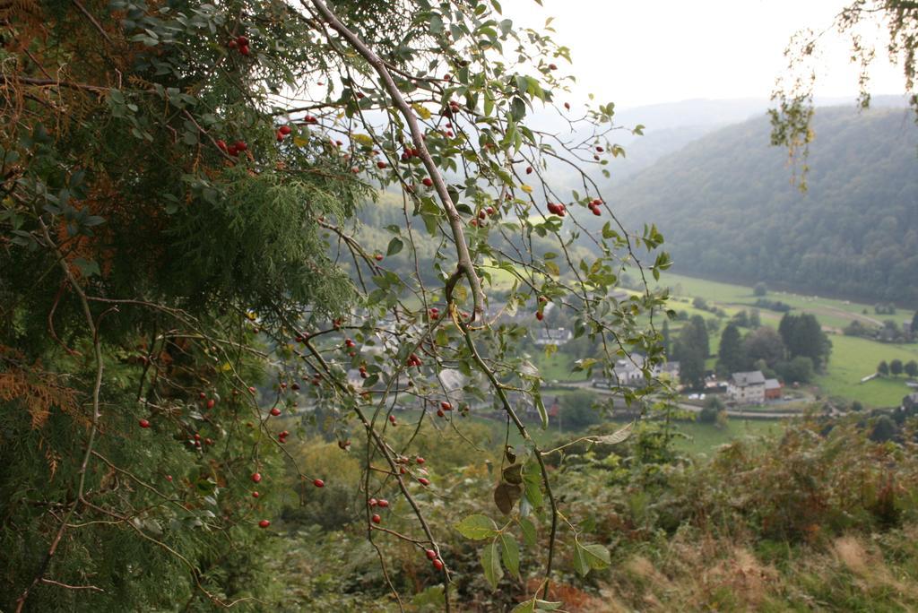 Chalet Ardenne Mini Rochehaut Buitenkant foto